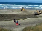 Dead whale burial on Ocean Beach, San Francisco