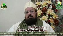 Allama Kokab Norani sb About Mumtaz Qadri & Salman Taseer Issue