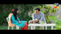 Haya Kay Daman Main Episode 7 Full HUM TV Drama 7 April 2016