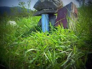 Webley Patriot .22 cal  50 meters  show 1