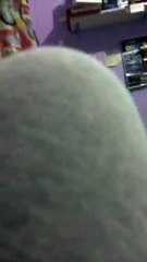 12º Periscope - 12/04/2016 | Hugo Paz en casa | @CFHugoP