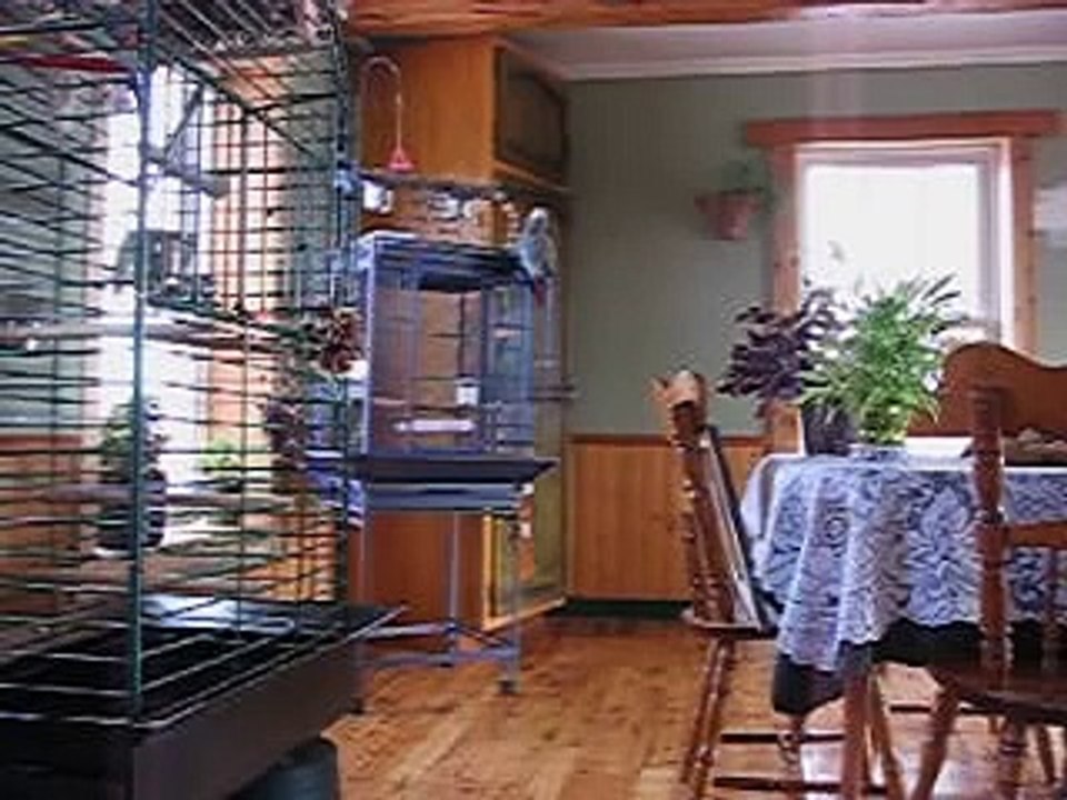 kirikou 8 04-06 video  40001