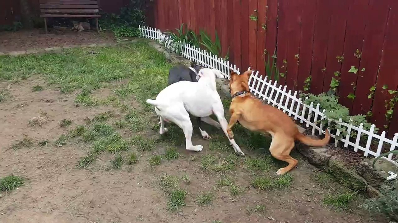 Play date