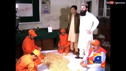 Peshawar admin postpones decision to pay head money for rats  11 April 2016