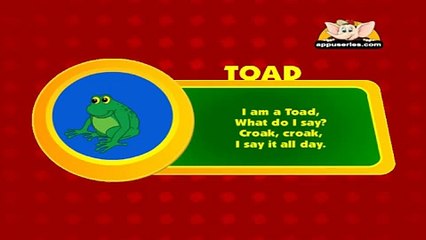 Animal Sounds in Hindi - Toad