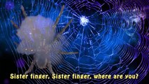 Finger Family Spider Halloween Monster | Funny Finger Song Animals Bugs Nursery Rhyme for Children