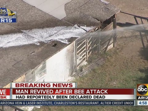 Man revived after bee attack