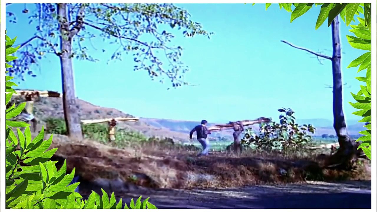 Aane Se Uske Aaye Bahar With Lyrics | Jeene Ki Raah | Mohammad Rafi Hit Songs