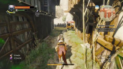 WITCHER 3 DEATH MARCH! WALKTHROUGH 86 - CONTRACT AN ELUSIVE THIEF