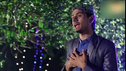 Mera Mustafa Hai  l Umair zubair Qadri