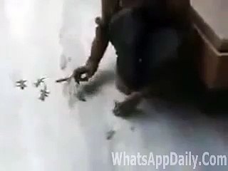 Free_Download_WhatsApp_Video_Unbelievable_Trick_Amazing_Video_-_Must_Watch