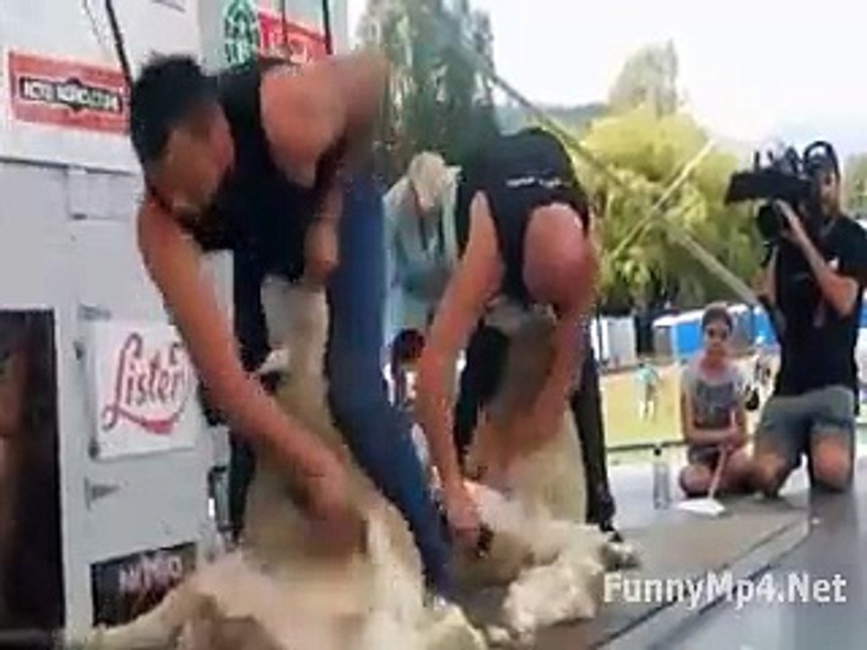 Free_Download_WhatsApp_Video_Very_Unique_Competition_Must_Watch