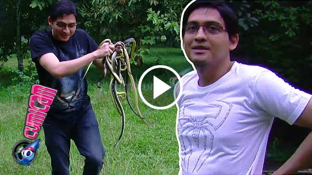 Insiden Irma Bule, Lucky Hakim Lepas Kobra Piaraannya - Cumicam 13 April 2016