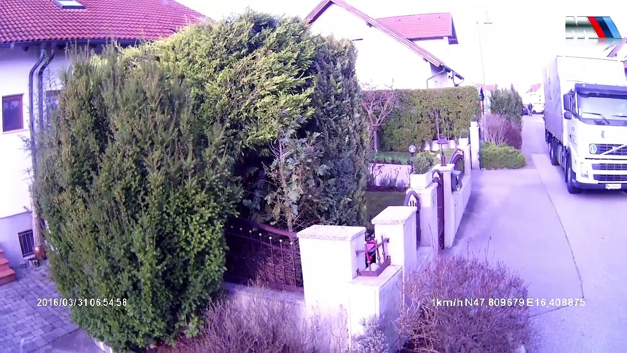 Diesel in da Blood Vol.43