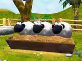 shaun the sheep cartoon كرتون الخروف شون ذا شيب مضحك