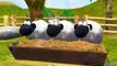 shaun the sheep cartoon كرتون الخروف شون ذا شيب مضحك