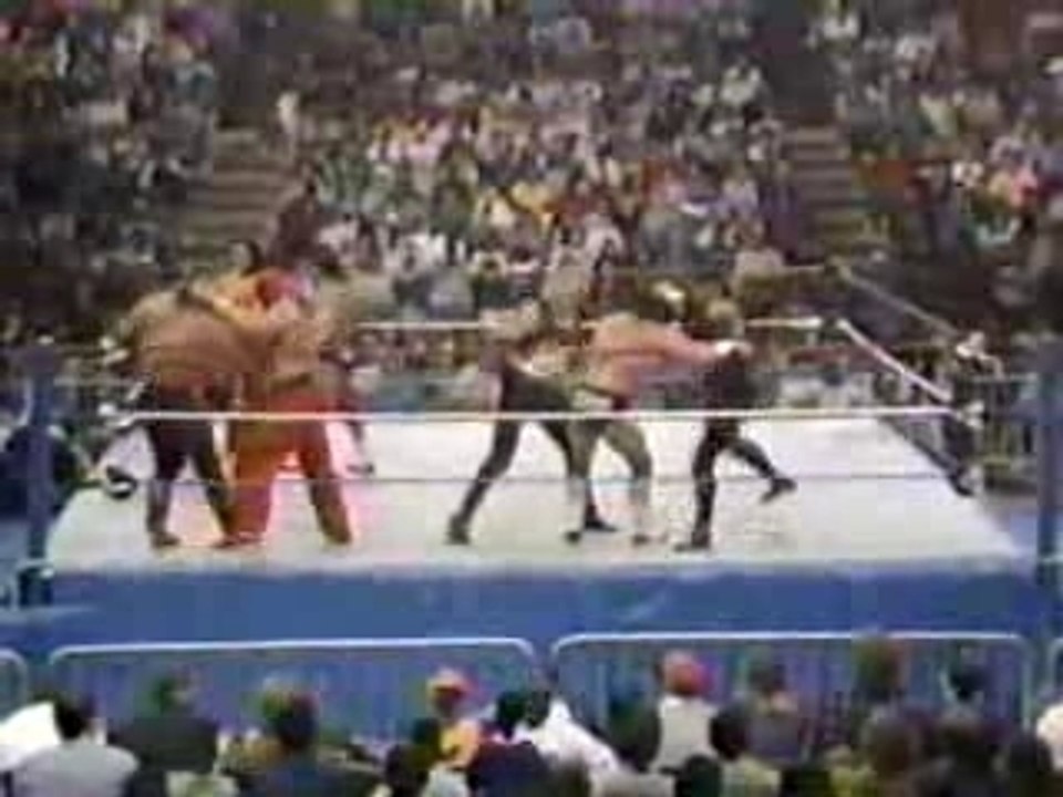 Battle_Royal Tag_Teams WWF_Superstars