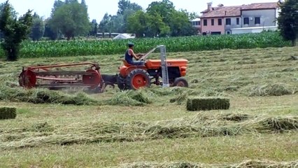 Trattore FIAT e Trattore FORD 4000 al lavoro