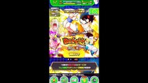Dragon Ball Z Dokkan Battle (JP) : Dokkan Summonings