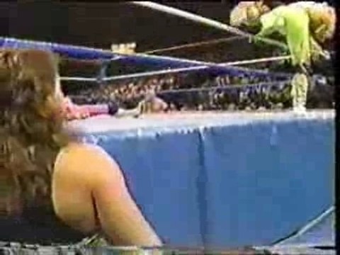 Shawn Michaels vs Bret Hart (Wrestling Challenge 2.11.90)