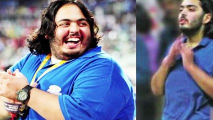 UNBELIEVABLE Salman Khan Reaction On Mukesh Ambani'son Weight Lose || Latest Bollywood News || ViaNet Bollywood