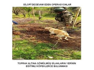 Silopi'de Operasyonlar Devam Ediyor