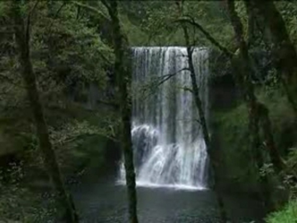 Dejate amar