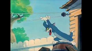 Tom and Jerry Cartoon Episode # 41 Love that Pup