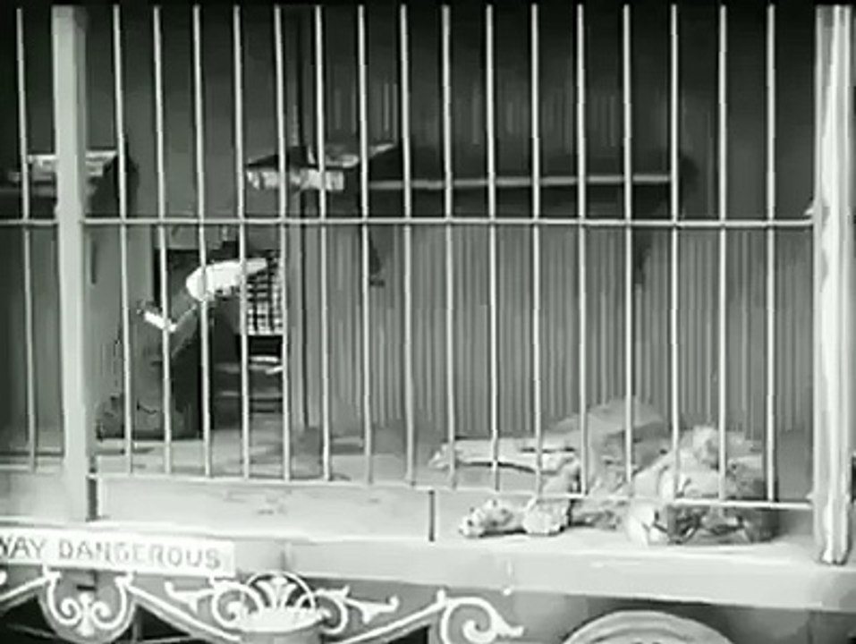 Funny video