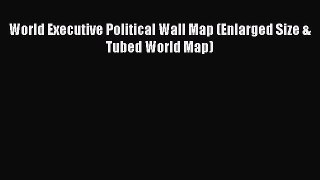 Download World Executive Political Wall Map (Enlarged Size & Tubed World Map) PDF Free