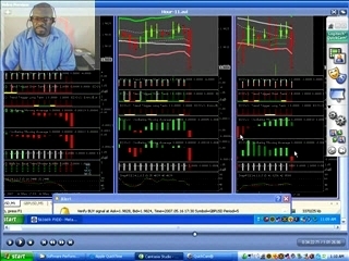 forex signal trading and make money