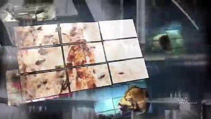 Aliens Saved Earth from Nuclear Meltdown Dailymotion