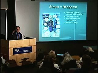 How Your Brain Can Turn Anxiety into Calmness 17