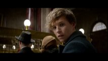 Fantastic Beasts and Where to Find Them - Teaser Trailer [HD]