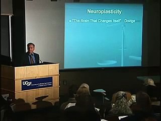 How Your Brain Can Turn Anxiety into Calmness 27