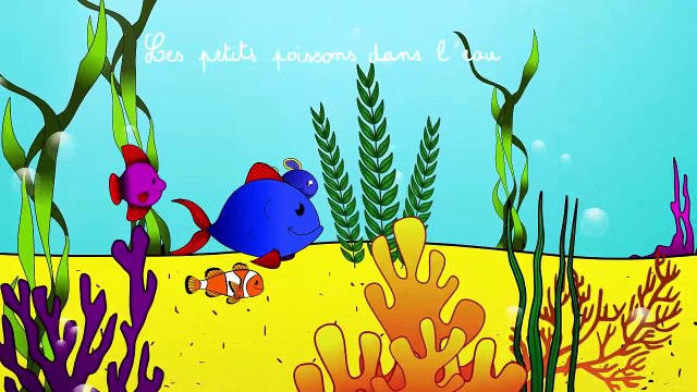 Les petits poissons dans leau