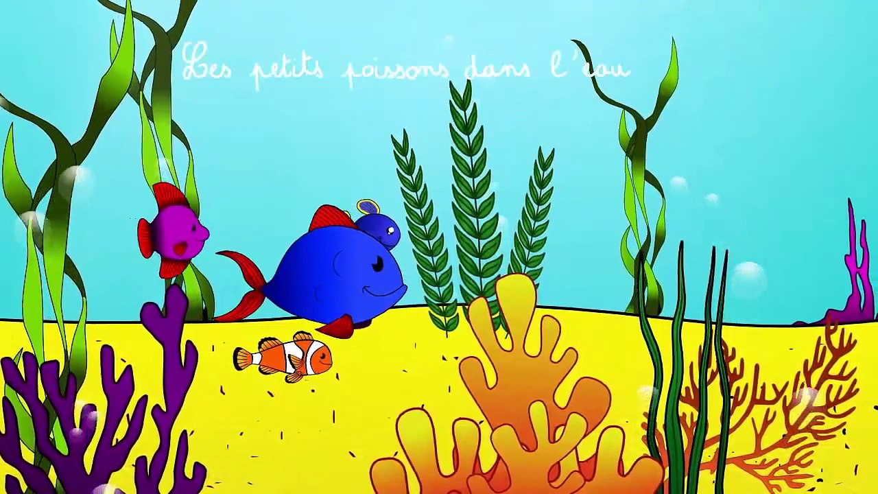Les petits poissons dans leau