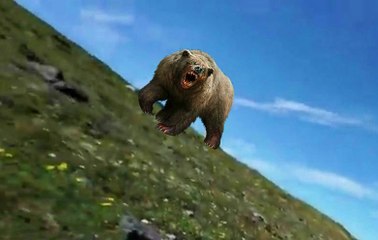 Üzerine Gelen Ayıyı Bağırarak Kaçırdı