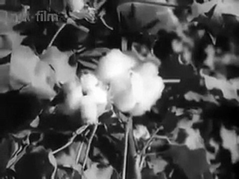 Сентябрь, 1948 г. Одна неделя жизни большой страны. Киножурнал №46 Новости Дня СССР