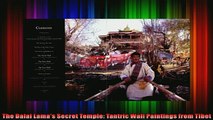 Read  The Dalai Lamas Secret Temple Tantric Wall Paintings from Tibet  Full EBook