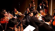 Collita & Viva mi patria Bolivia by Agustín Fernandez (Transcriptions for string orchestra)