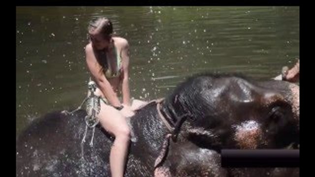 Human And Animals Love Bonding Moments - Fun Photos