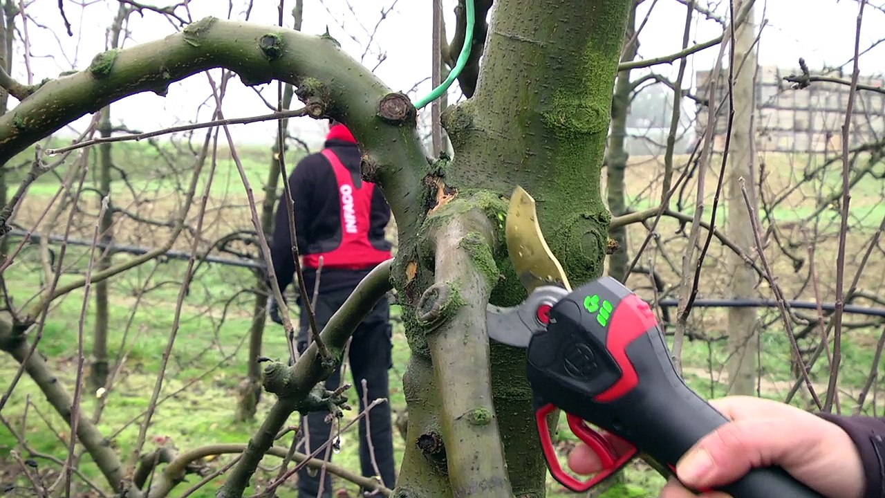 ELECTROCOUP F3015 INFACO + PW2 en Arboriculture FR-EN