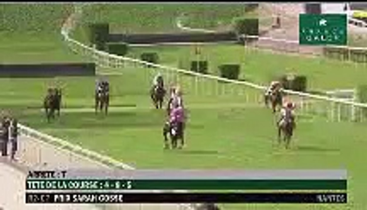 Hippodrome Nantes Un cheval fou fonce sur les spectateurs! 1