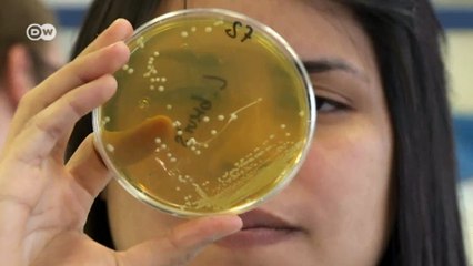 Training to be a beer brewer in Germany | Made in Germany