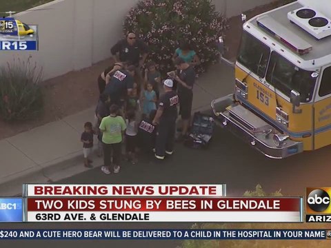 Kids stung by bees in Glendale