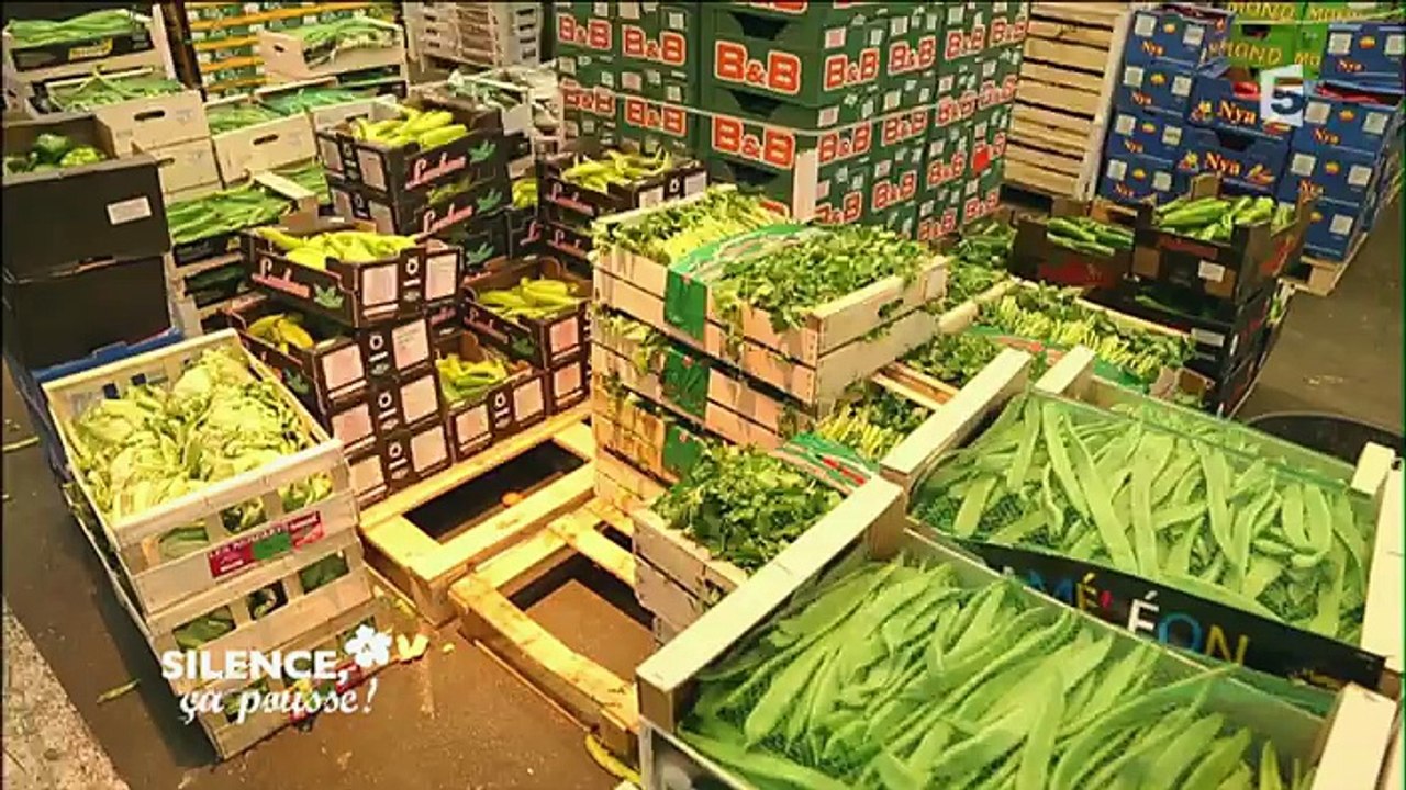 Silence, ça pousse ! 8.04.2016 Rungis - Jersey... VOSTF France 5