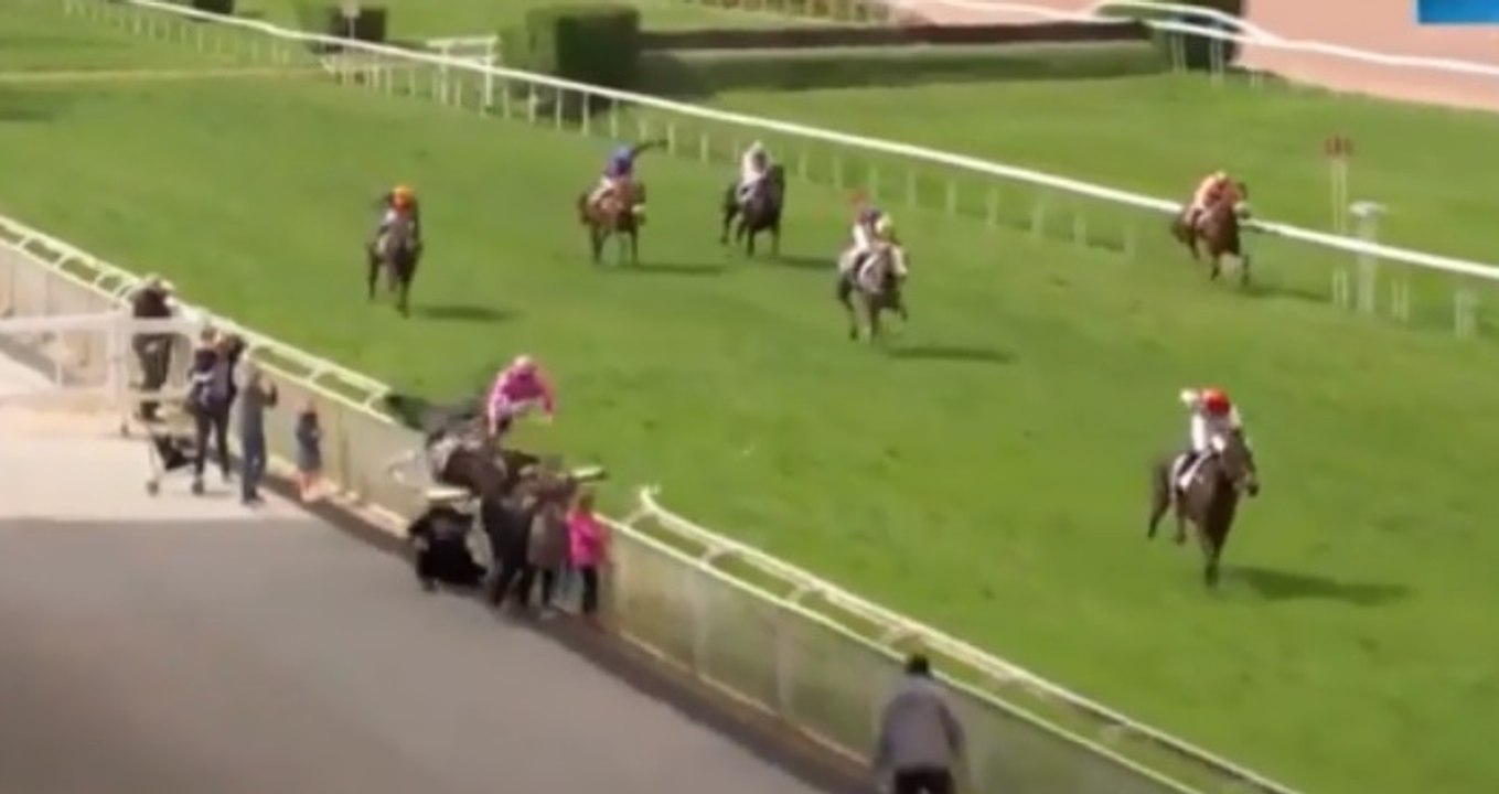 Un cheval fonce sur des spectateurs pendant une course hippique à Nantes
