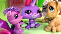 LPS Meeting At Coffee Shop Mommies Part 48 Littlest Pet Shop Series Video Movie LPS Mom Babies