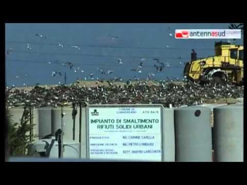 Tg Antenna Sud - Discarica Martucci: La falda non è inquinata